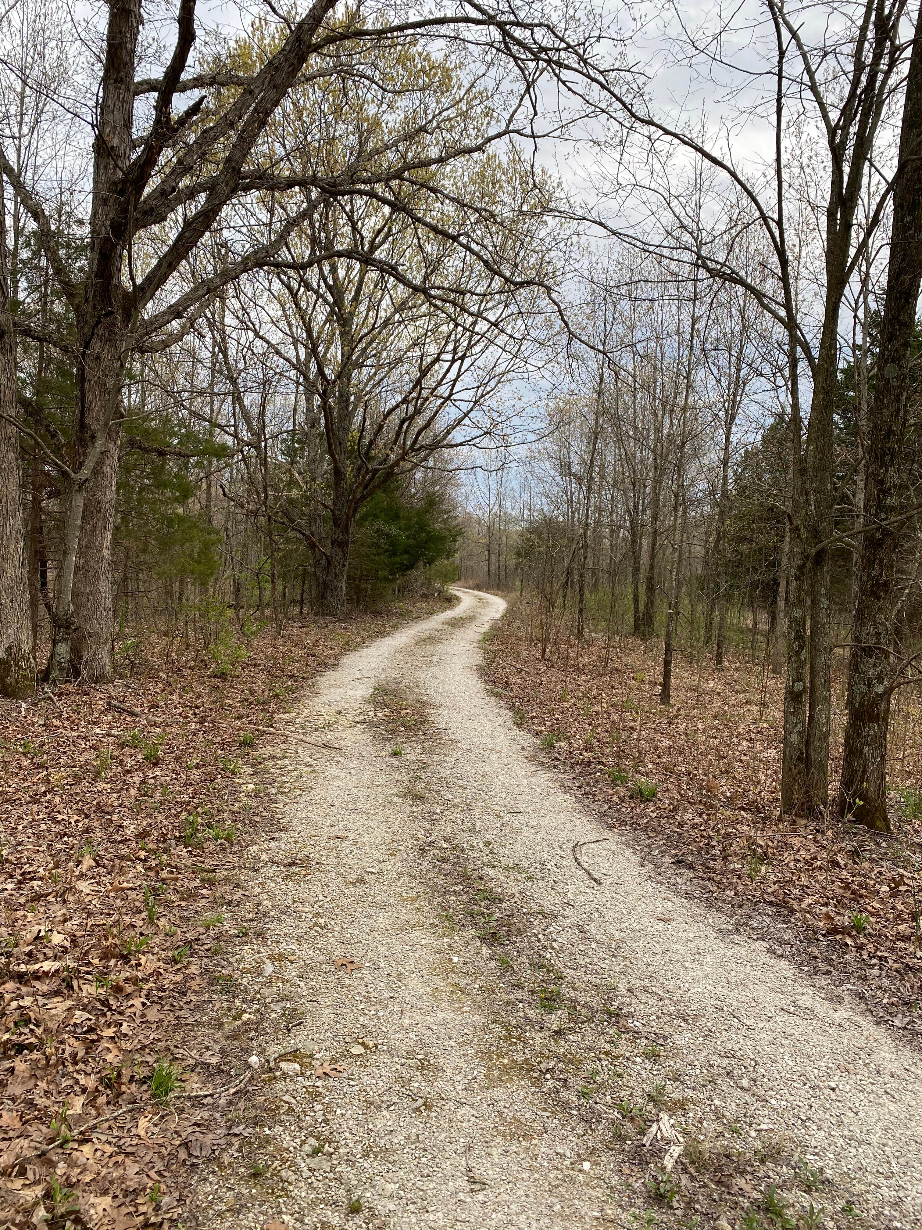 Camper submitted image from Little Lost Creek Conservation Area - 3