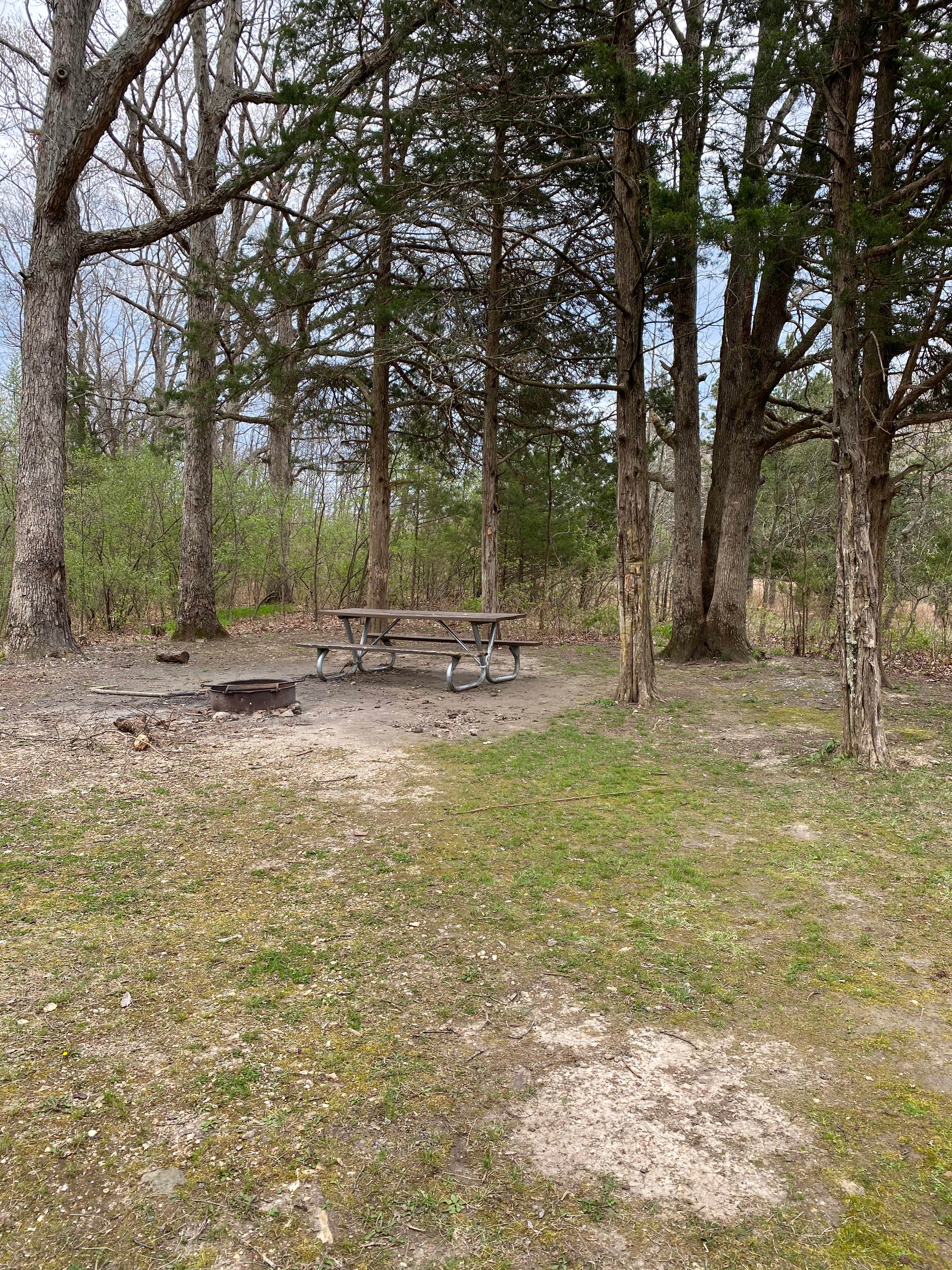 Camper-submitted photo at Little Lost Creek Conservation Area near St. Ann, MO