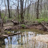 Review photo of Little Lost Creek Conservation Area by Annie C., April 30, 2020