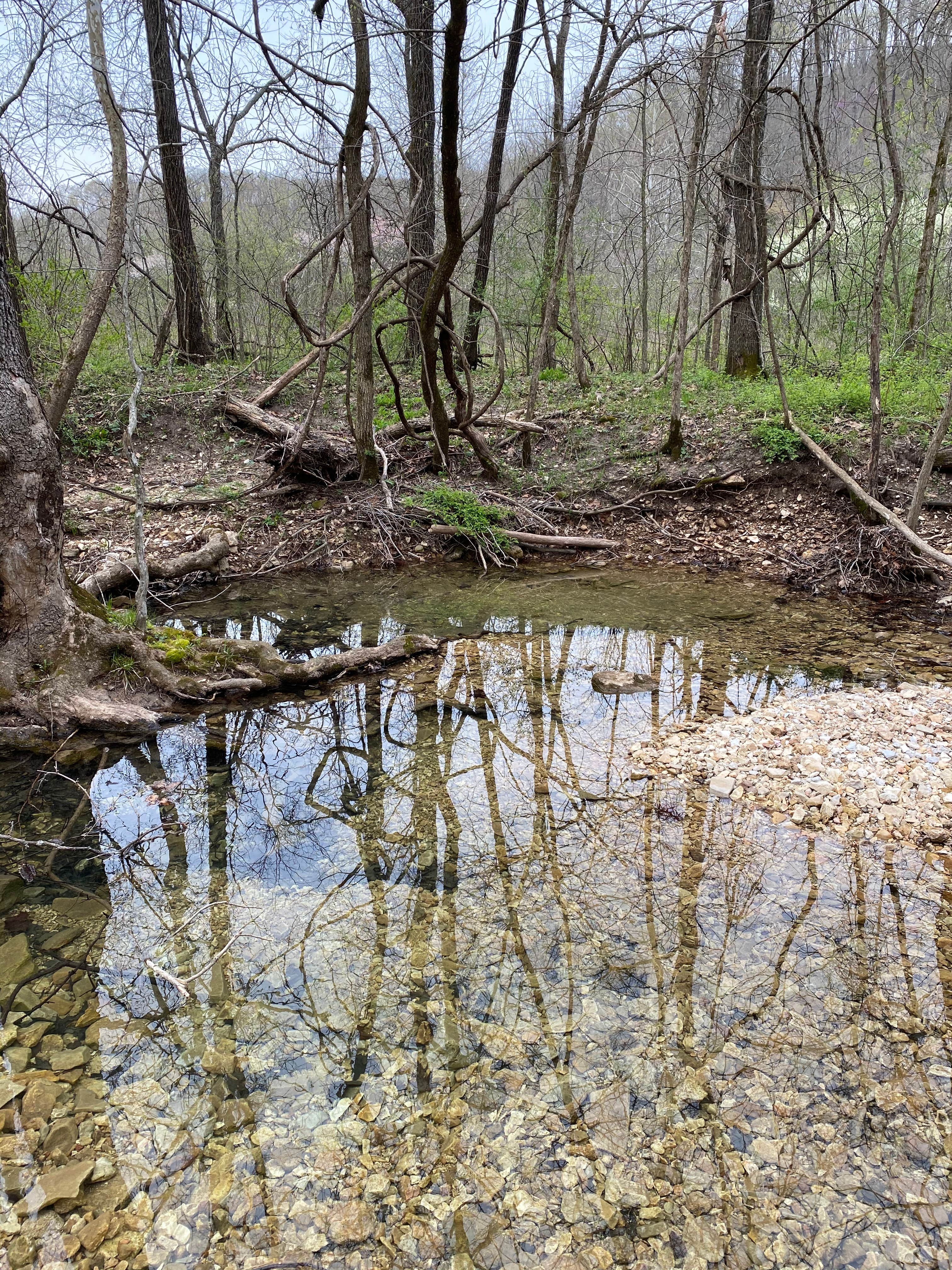 Camper submitted image from Little Lost Creek Conservation Area - 1