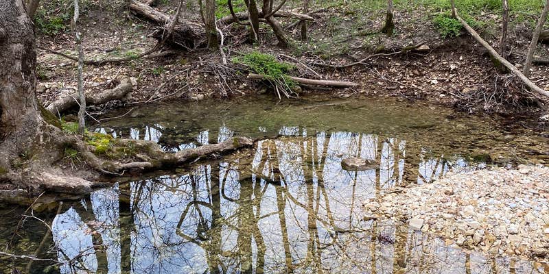Camper submitted image from Little Lost Creek Conservation Area
