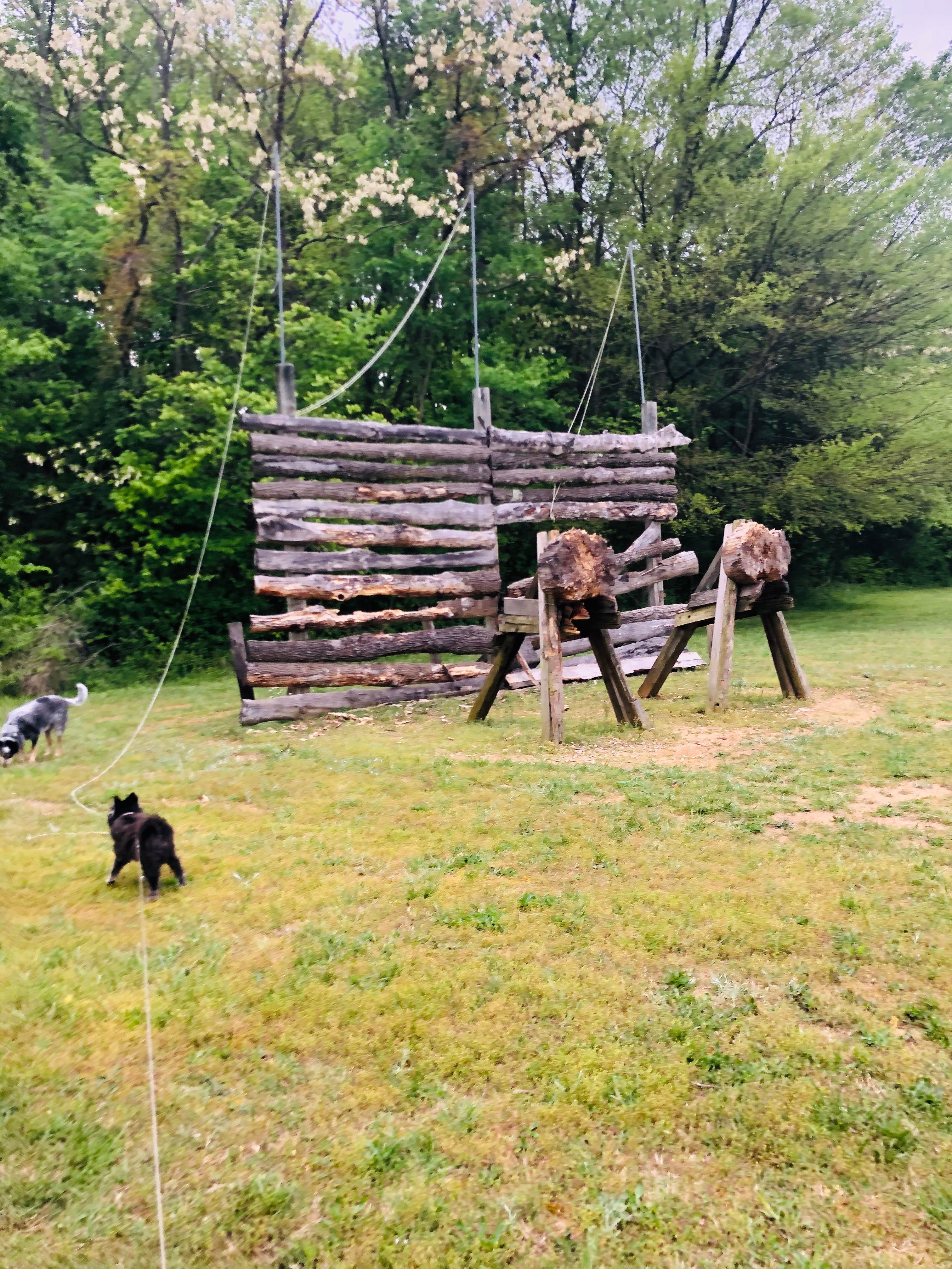 Camper-submitted photo at Barren River Lake State Resort Park Campground near Alvaton, KY