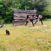 Review photo of Barren River Lake State Resort Park Campground by Shelly S., May 1, 2020