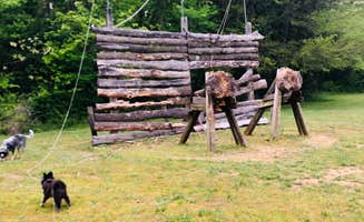 Shelly S.'s photo of camping with pets at Barren River Lake State Resort Park Campground near Glasgow, KY