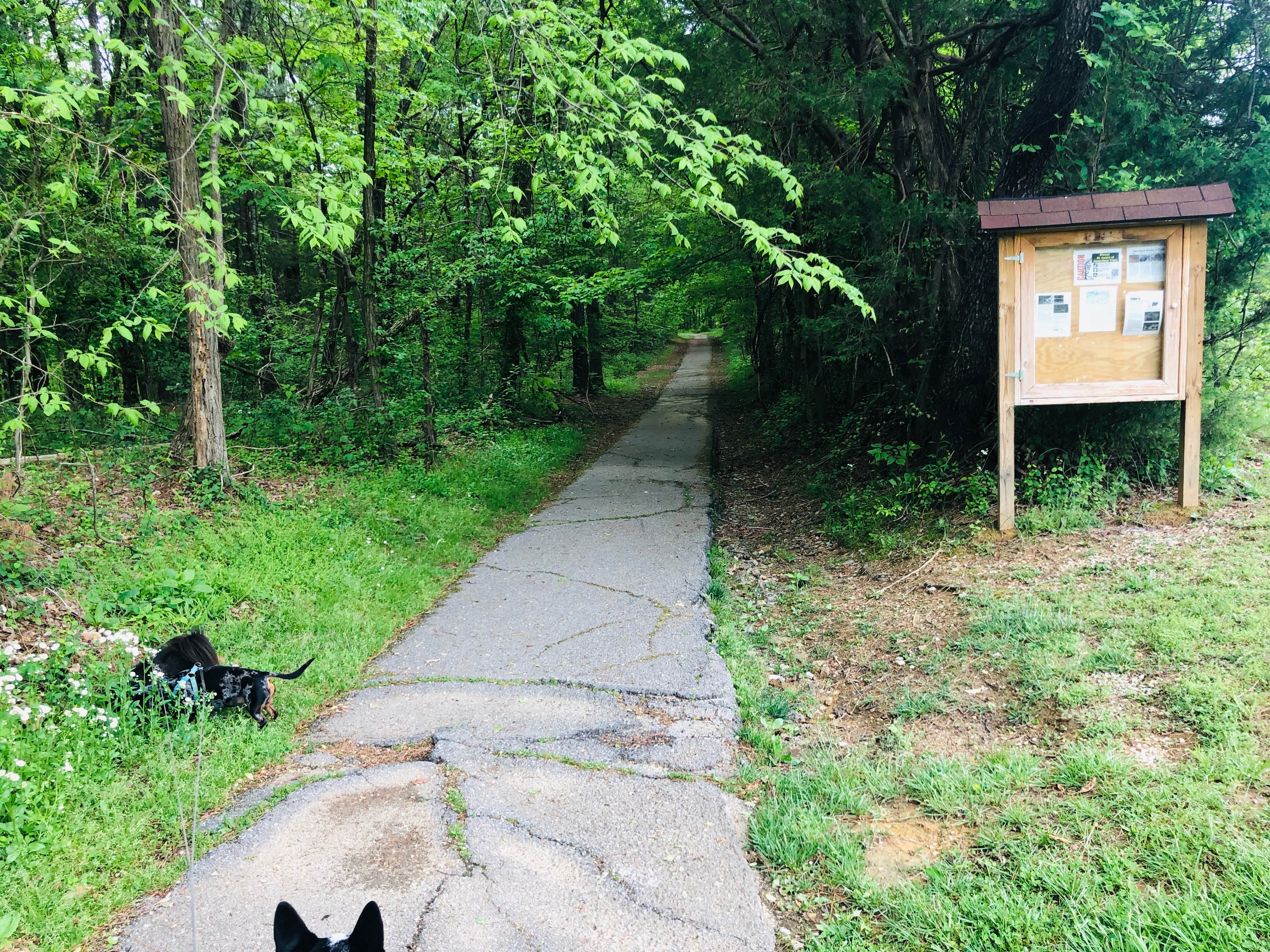 Camper-submitted photo at Barren River Lake State Resort Park Campground near Alvaton, KY