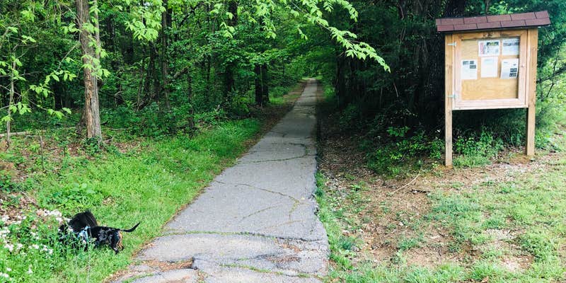 Camper submitted image from Barren River Lake State Resort Park Campground