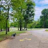 Review photo of Barren River Lake State Resort Park Campground by Shelly S., May 1, 2020