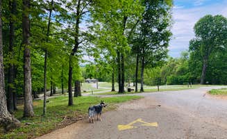 Shelly S.'s photo of camping with pets at Barren River Lake State Resort Park Campground near Lafayette, TN