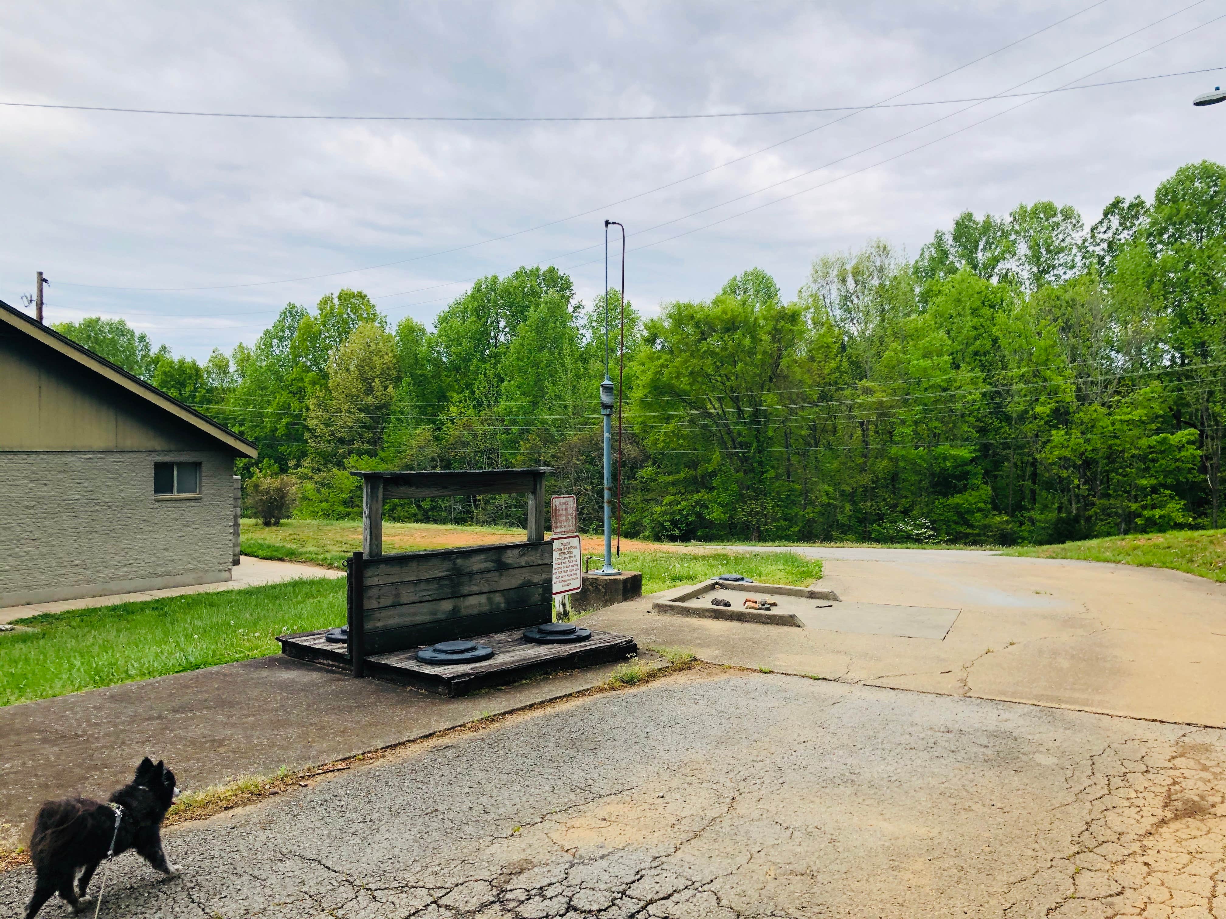 Shelly S.'s photo of camping with pets at Barren River Lake State Resort Park Campground near Lafayette, TN