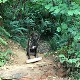 Review photo of Keenig Creek Campground by Sarah S., September 18, 2017
