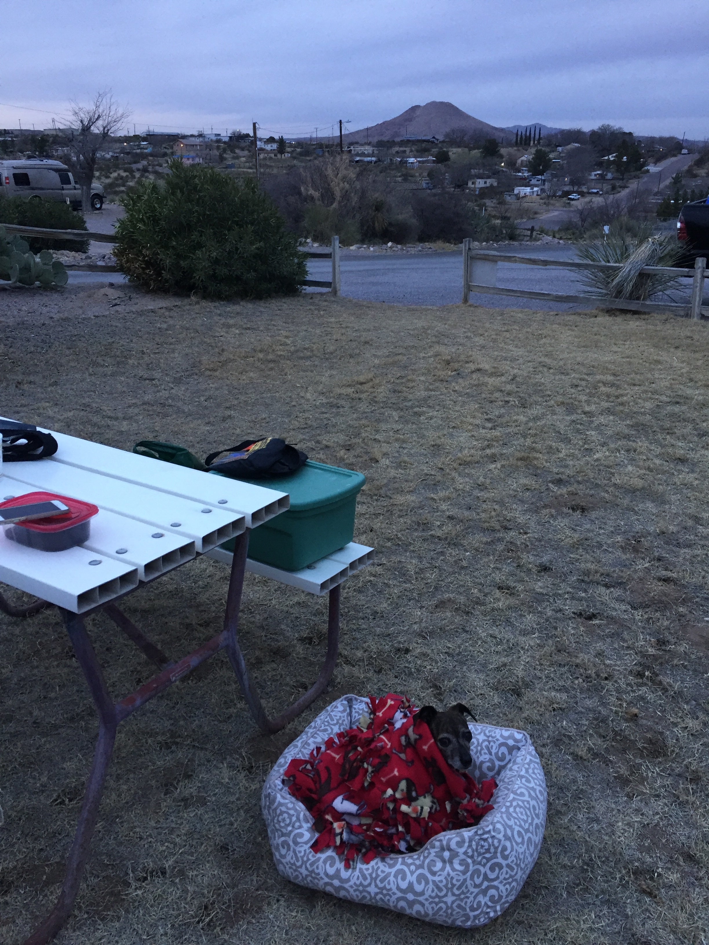 Camper submitted image from Lordsburg KOA - 5