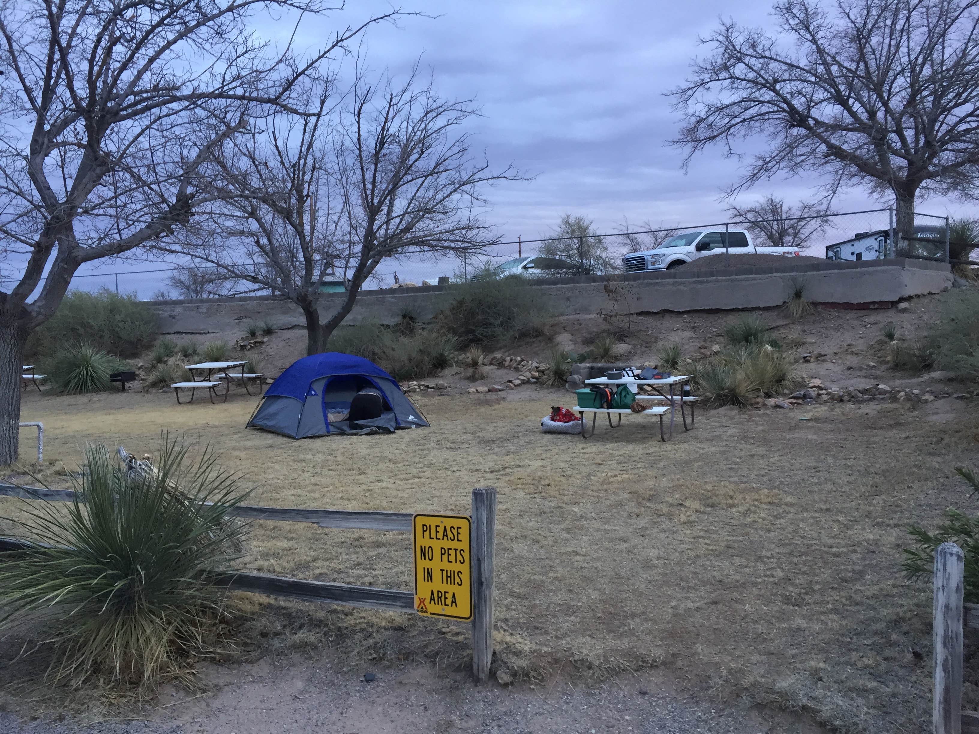 Alicia F.'s photo at Lordsburg KOA near Rodeo, NM