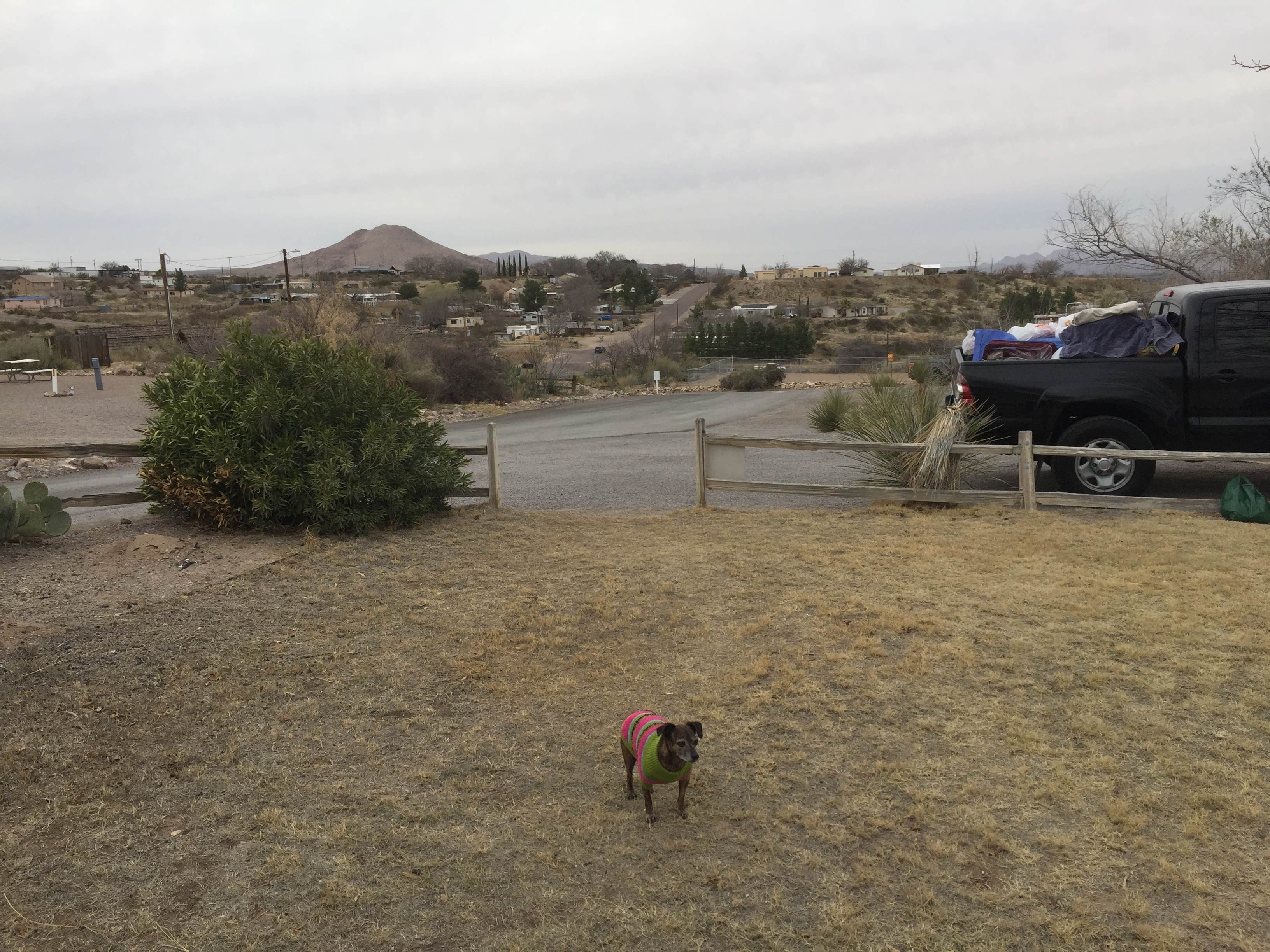 Alicia F.'s photo of camping with pets at Lordsburg KOA near Duncan, AZ