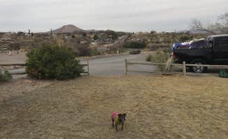 Alicia F.'s photo of camping with pets at Lordsburg KOA near Portal, AZ