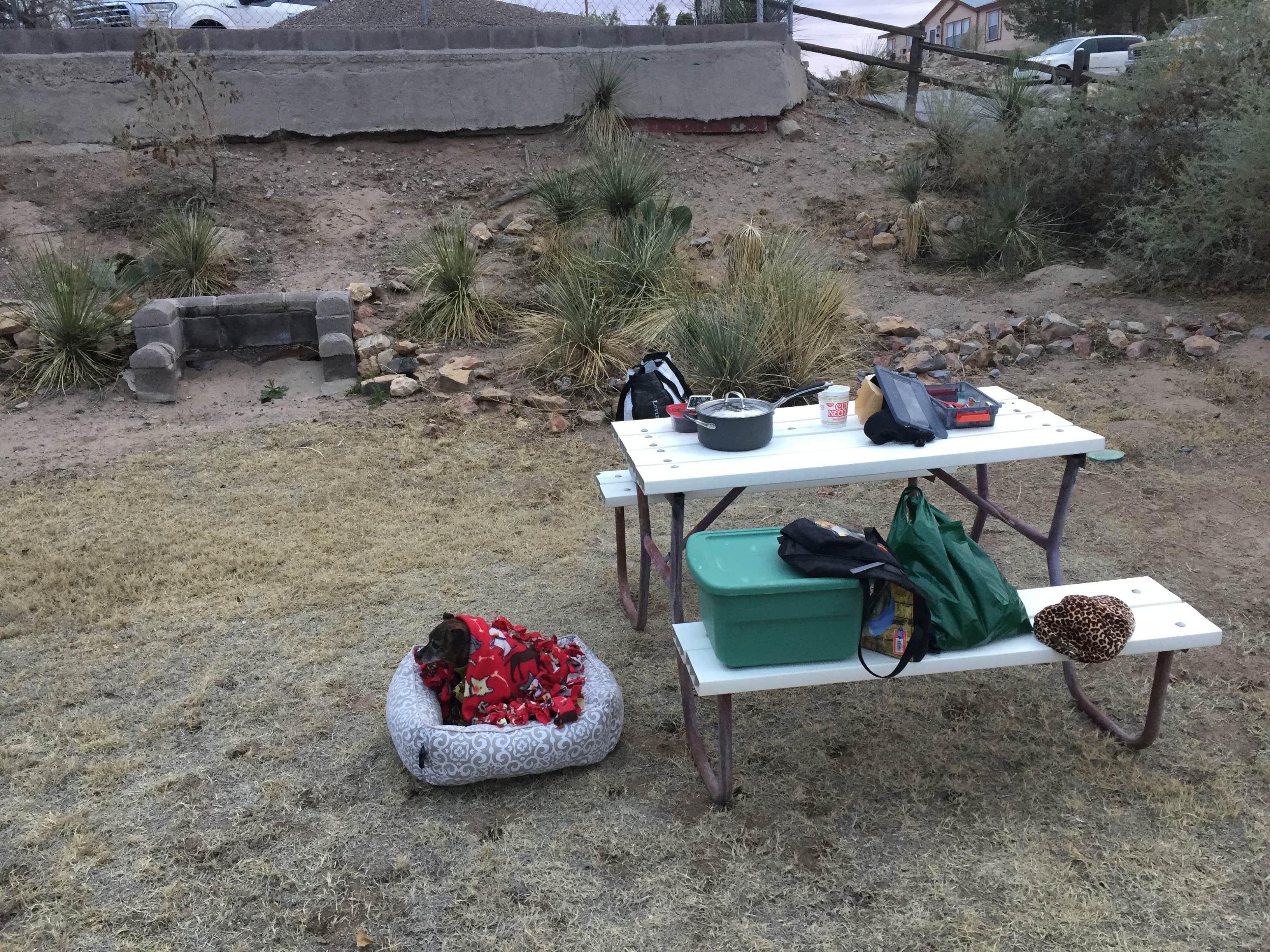 Camper submitted image from Lordsburg KOA - 3