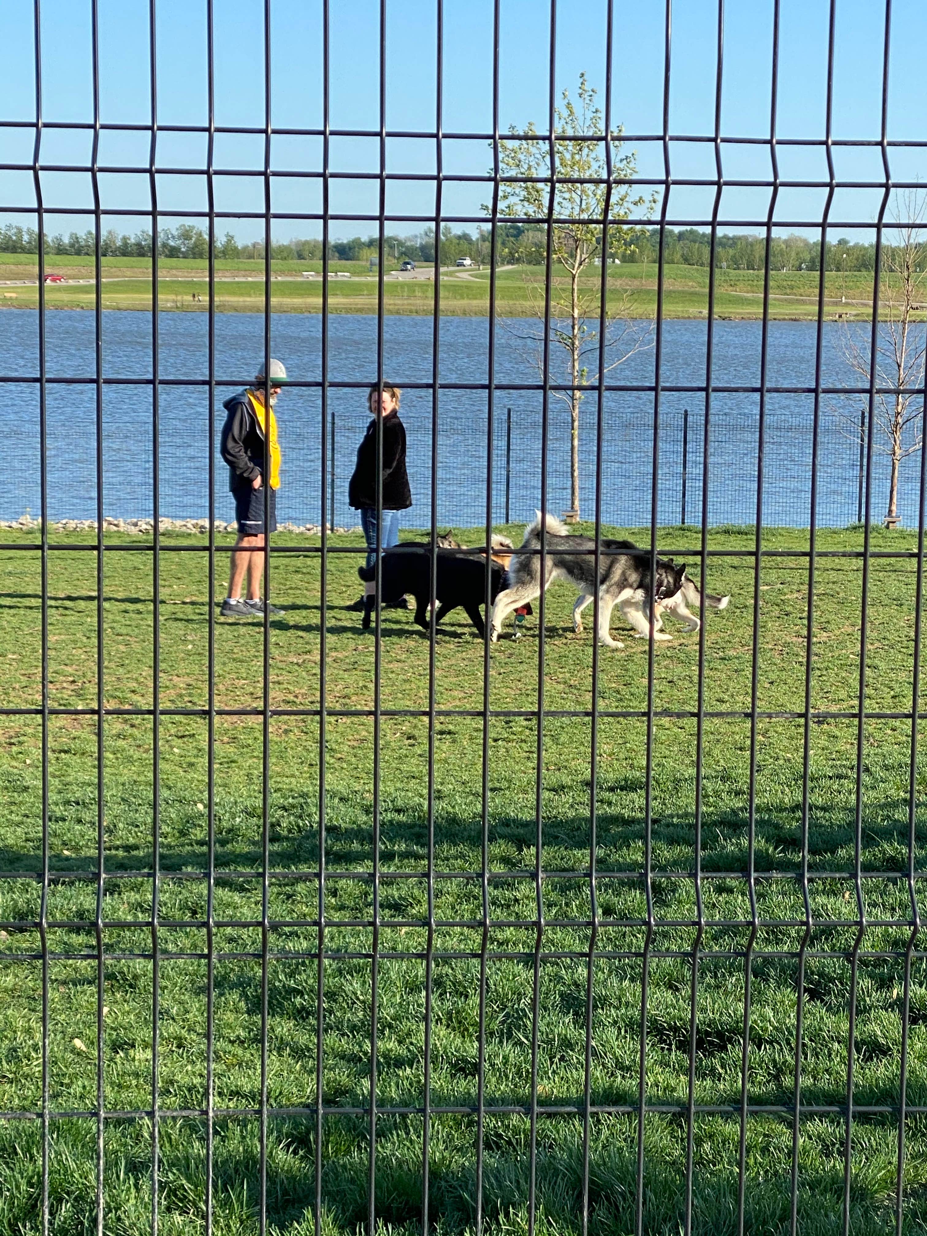 Annie C.'s photo of camping with pets at St. Peters' 370 Lakeside Park near Glen Carbon, IL