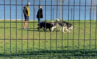 Annie C.'s photo of camping with pets at St. Peters' 370 Lakeside Park near Alton, IL