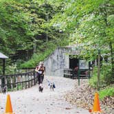 Review photo of Blue Heron Campground — Big South Fork National River and Recreation Area by Shelly S., May 1, 2020