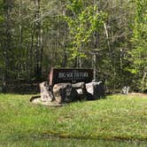 Review photo of Blue Heron Campground — Big South Fork National River and Recreation Area by Shelly S., May 1, 2020