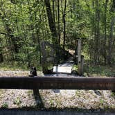 Review photo of Blue Heron Campground — Big South Fork National River and Recreation Area by Shelly S., May 1, 2020