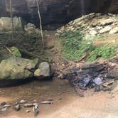 Review photo of Blue Heron Campground — Big South Fork National River and Recreation Area by Shelly S., May 1, 2020