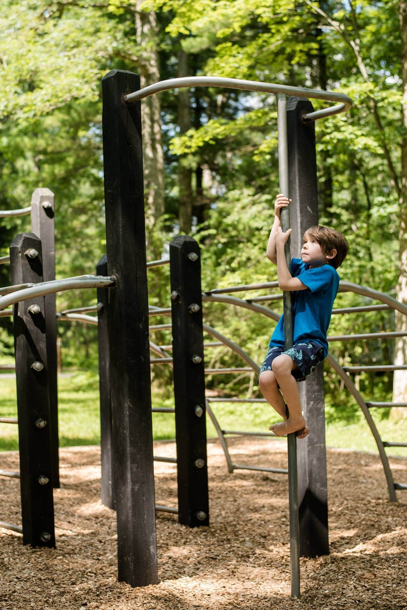 Camper submitted image from Swallow Falls State Park Campground - 5