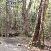 Review photo of Katahdin Stream Campground — Baxter State Park by Jean C., May 1, 2020