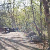 Review photo of Katahdin Stream Campground — Baxter State Park by Jean C., May 1, 2020