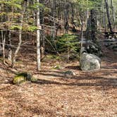 Review photo of Katahdin Stream Campground — Baxter State Park by Jean C., May 1, 2020