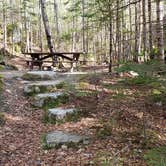 Review photo of Katahdin Stream Campground — Baxter State Park by Jean C., May 1, 2020