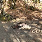 Review photo of Katahdin Stream Campground — Baxter State Park by Jean C., May 1, 2020