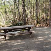 Review photo of Katahdin Stream Campground — Baxter State Park by Jean C., May 1, 2020