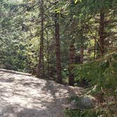 Review photo of Katahdin Stream Campground — Baxter State Park by Jean C., May 1, 2020