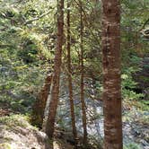 Review photo of Katahdin Stream Campground — Baxter State Park by Jean C., May 1, 2020