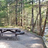 Review photo of Katahdin Stream Campground — Baxter State Park by Jean C., May 1, 2020