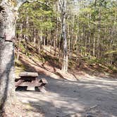 Review photo of Katahdin Stream Campground — Baxter State Park by Jean C., May 1, 2020