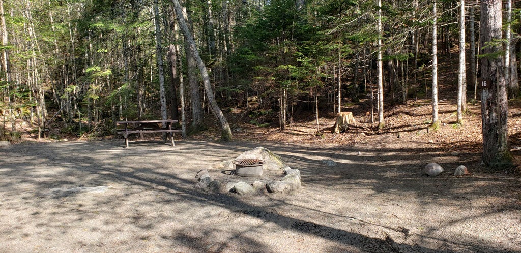 Camper submitted image from Katahdin Stream Campground — Baxter State Park - 1