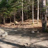 Review photo of Katahdin Stream Campground — Baxter State Park by Jean C., May 1, 2020