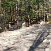 Review photo of Katahdin Stream Campground — Baxter State Park by Jean C., May 1, 2020