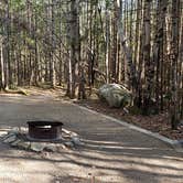 Review photo of Katahdin Stream Campground — Baxter State Park by Jean C., May 1, 2020