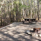 Review photo of Katahdin Stream Campground — Baxter State Park by Jean C., May 1, 2020