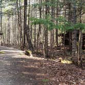 Review photo of Katahdin Stream Campground — Baxter State Park by Jean C., May 1, 2020