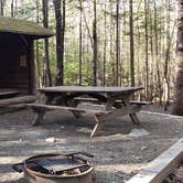 Review photo of Katahdin Stream Campground — Baxter State Park by Jean C., May 1, 2020