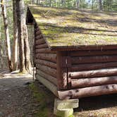 Review photo of Katahdin Stream Campground — Baxter State Park by Jean C., May 1, 2020