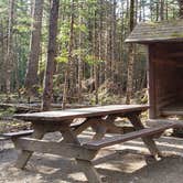 Review photo of Katahdin Stream Campground — Baxter State Park by Jean C., May 1, 2020