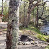 Review photo of Katahdin Stream Campground — Baxter State Park by Jean C., May 1, 2020