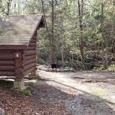 Review photo of Katahdin Stream Campground — Baxter State Park by Jean C., May 1, 2020