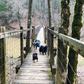 Review photo of Whittleton Campground — Natural Bridge State Resort Park by Shelly S., May 1, 2020