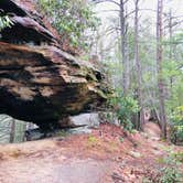 Review photo of Whittleton Campground — Natural Bridge State Resort Park by Shelly S., May 1, 2020