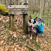 Review photo of Whittleton Campground — Natural Bridge State Resort Park by Shelly S., May 1, 2020